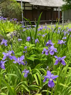 横浜　西方寺(神奈川県)