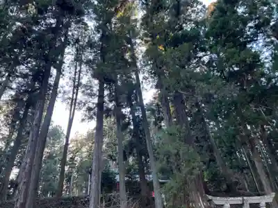 大宮温泉神社(栃木県)
