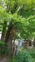 梨木神社の自然