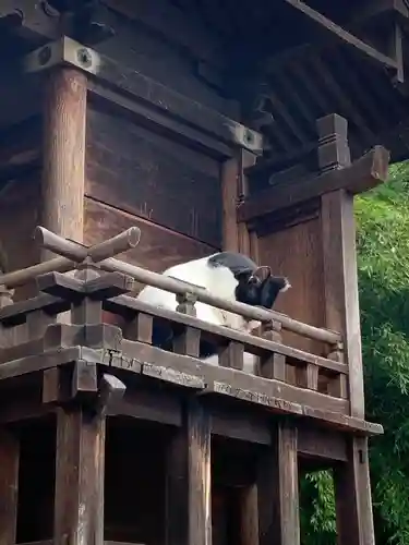明竹稲荷宮　腰神不動神社の動物