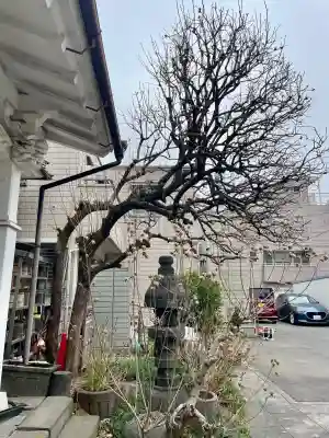 本光寺の{uncategorized: "未分類", other: "その他", undefined: "問題あり", building: "その他建物", grave: "お墓", sacred_gate: "鳥居", guardian: "狛犬", statue: "像", buddha: "仏像", history: "歴史", nature: "自然", garden: "庭園", animal: "動物", pagoda: "塔", temizu: "手水舎", mountain_gate: "山門・神門", sanctuary: "本殿・本堂", subordinate: "末社・摂社", art: "芸術", scenery: "景色", jizo: "地蔵", ema: "絵馬", goshuin: "御朱印", omikuji: "おみくじ", items: "授与品その他", amulet: "お守り", goshuincho: "御朱印帳", eats: "食事", festival: "お祭り", votive_dance: "神楽", shichigosan: "七五三参", wedding: "結婚式", experience: "体験その他", initially: "初詣", around: "周辺", anti_infection: "感染症対策"}