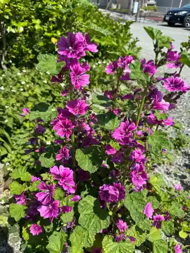 豊景神社(福島県)