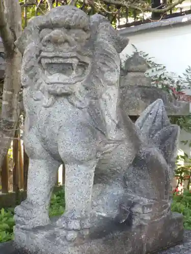 晴明神社の狛犬