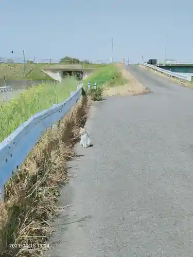 間々田八幡宮の動物