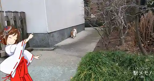 上平井天祖神社(東京都)