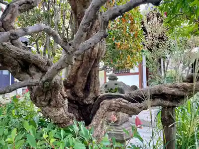 明王院(東京都)