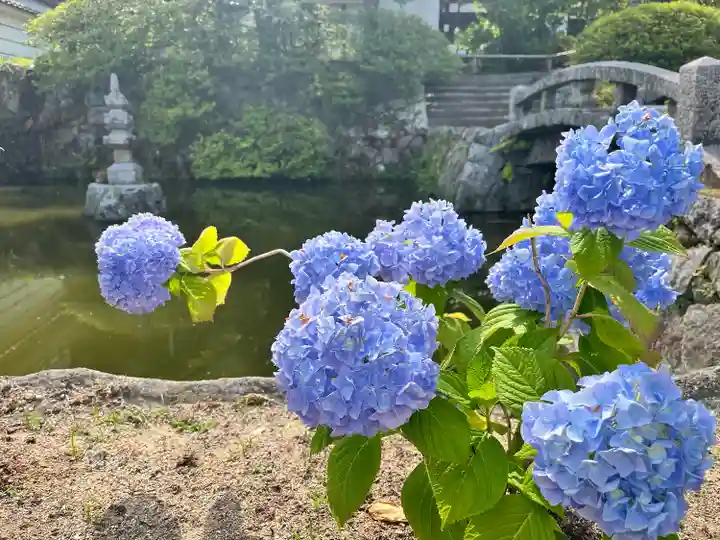矢田寺南僧坊(奈良県)
