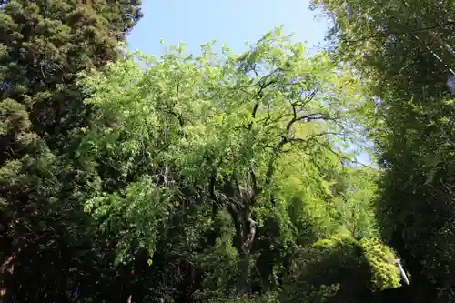 大六天麻王神社の庭園