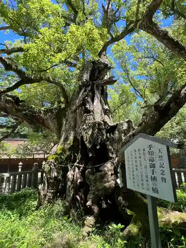 大山祇神社(愛媛県)