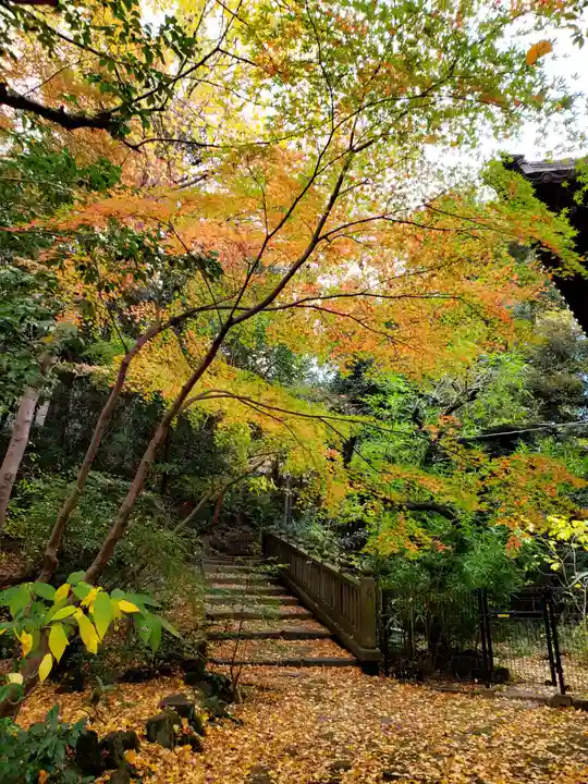 赤坂氷川神社(東京都)
