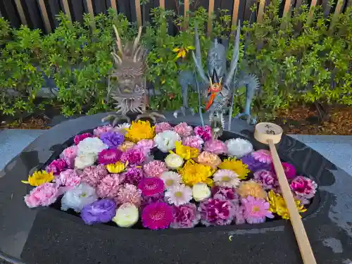 駒込妙義神社(東京都)