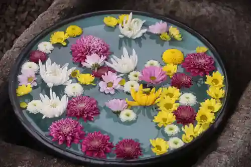 大鏑神社の手水舎