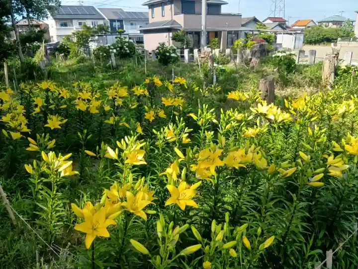 石刀神社(愛知県)