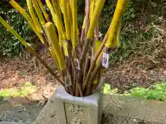 施福寺の建物その他