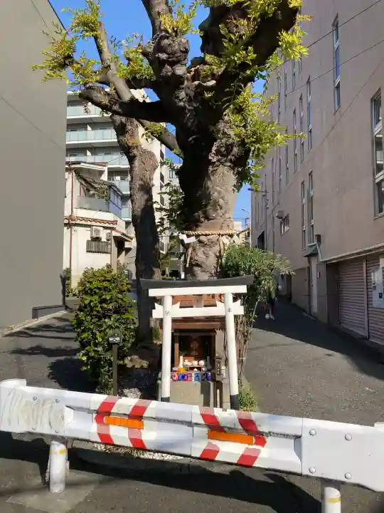 白光大神 の{uncategorized: "未分類", other: "その他", undefined: "問題あり", building: "その他建物", grave: "お墓", sacred_gate: "鳥居", guardian: "狛犬", statue: "像", buddha: "仏像", history: "歴史", nature: "自然", garden: "庭園", animal: "動物", pagoda: "塔", temizu: "手水舎", mountain_gate: "山門・神門", sanctuary: "本殿・本堂", subordinate: "末社・摂社", art: "芸術", scenery: "景色", jizo: "地蔵", ema: "絵馬", goshuin: "御朱印", omikuji: "おみくじ", items: "授与品その他", amulet: "お守り", goshuincho: "御朱印帳", eats: "食事", festival: "お祭り", votive_dance: "神楽", shichigosan: "七五三参", wedding: "結婚式", experience: "体験その他", initially: "初詣", around: "周辺", anti_infection: "感染症対策"}