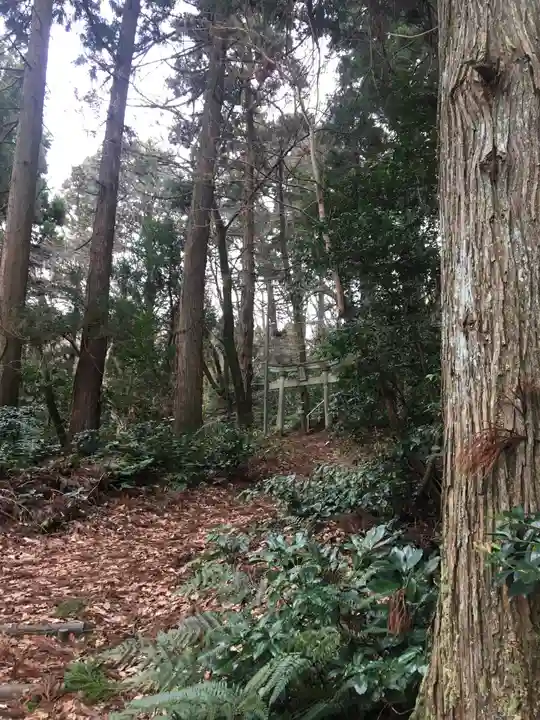 白山神社の鳥居