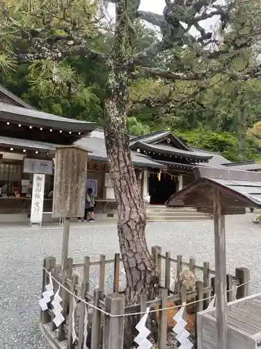 小國神社(静岡県)
