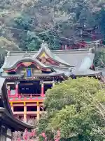 祐徳稲荷神社の{uncategorized: "未分類", other: "その他", undefined: "問題あり", building: "その他建物", grave: "お墓", sacred_gate: "鳥居", guardian: "狛犬", statue: "像", buddha: "仏像", history: "歴史", nature: "自然", garden: "庭園", animal: "動物", pagoda: "塔", temizu: "手水舎", mountain_gate: "山門・神門", sanctuary: "本殿・本堂", subordinate: "末社・摂社", art: "芸術", scenery: "景色", jizo: "地蔵", ema: "絵馬", goshuin: "御朱印", omikuji: "おみくじ", items: "授与品その他", amulet: "お守り", goshuincho: "御朱印帳", eats: "食事", festival: "お祭り", votive_dance: "神楽", shichigosan: "七五三参", wedding: "結婚式", experience: "体験その他", initially: "初詣", around: "周辺", anti_infection: "感染症対策"}