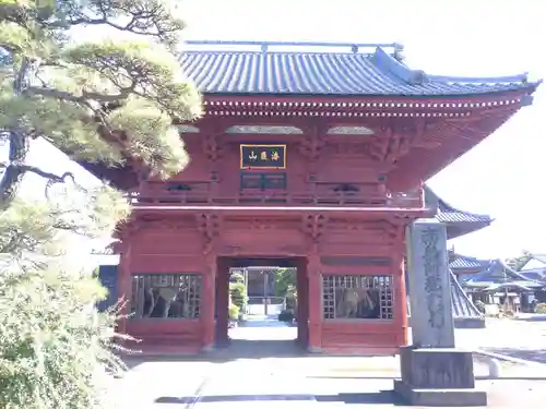 徳願寺の山門