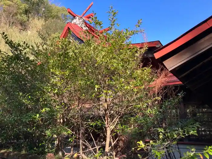 多賀神社の本殿