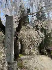法善寺(埼玉県)