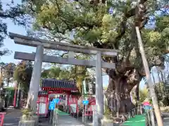 山宮神社の鳥居