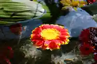 三津厳島神社の手水舎