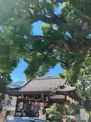 丹生神社(兵庫県)