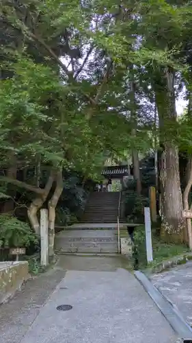 岩船寺(京都府)