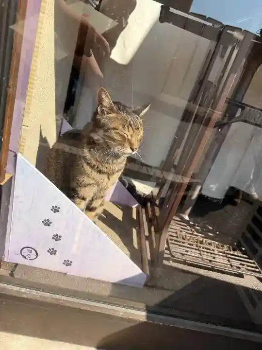 鷺宮八幡神社の{uncategorized: "未分類", other: "その他", undefined: "問題あり", building: "その他建物", grave: "お墓", sacred_gate: "鳥居", guardian: "狛犬", statue: "像", buddha: "仏像", history: "歴史", nature: "自然", garden: "庭園", animal: "動物", pagoda: "塔", temizu: "手水舎", mountain_gate: "山門・神門", sanctuary: "本殿・本堂", subordinate: "末社・摂社", art: "芸術", scenery: "景色", jizo: "地蔵", ema: "絵馬", goshuin: "御朱印", omikuji: "おみくじ", items: "授与品その他", amulet: "お守り", goshuincho: "御朱印帳", eats: "食事", festival: "お祭り", votive_dance: "神楽", shichigosan: "七五三参", wedding: "結婚式", experience: "体験その他", initially: "初詣", around: "周辺", anti_infection: "感染症対策"}