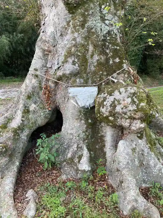 御霊神社の自然
