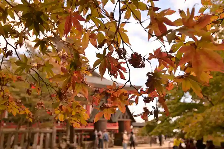 大山阿夫利神社の本殿・本堂