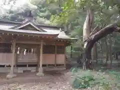 芝崎神社の本殿