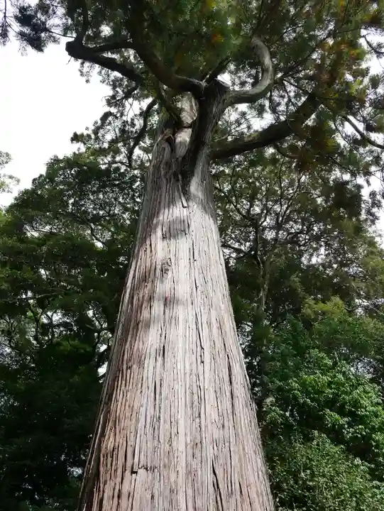 事任八幡宮のその他建物