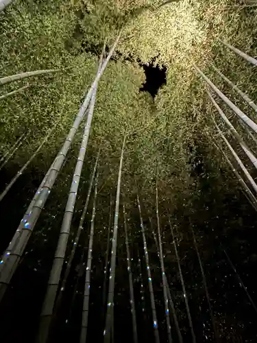 高台寺（高台寿聖禅寺・高臺寺）(京都府)