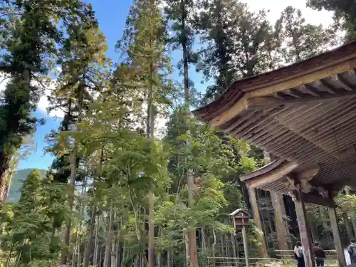 高山寺(京都府)