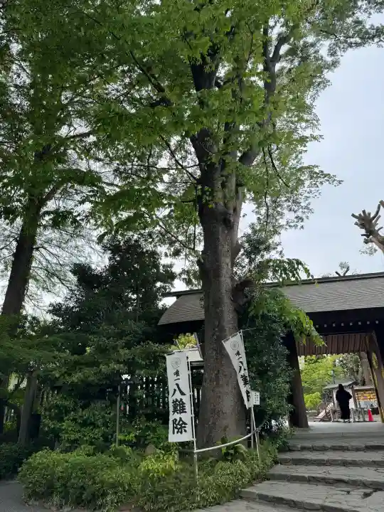 阿佐ヶ谷神明宮の{uncategorized: "未分類", other: "その他", undefined: "問題あり", building: "その他建物", grave: "お墓", sacred_gate: "鳥居", guardian: "狛犬", statue: "像", buddha: "仏像", history: "歴史", nature: "自然", garden: "庭園", animal: "動物", pagoda: "塔", temizu: "手水舎", mountain_gate: "山門・神門", sanctuary: "本殿・本堂", subordinate: "末社・摂社", art: "芸術", scenery: "景色", jizo: "地蔵", ema: "絵馬", goshuin: "御朱印", omikuji: "おみくじ", items: "授与品その他", amulet: "お守り", goshuincho: "御朱印帳", eats: "食事", festival: "お祭り", votive_dance: "神楽", shichigosan: "七五三参", wedding: "結婚式", experience: "体験その他", initially: "初詣", around: "周辺", anti_infection: "感染症対策"}