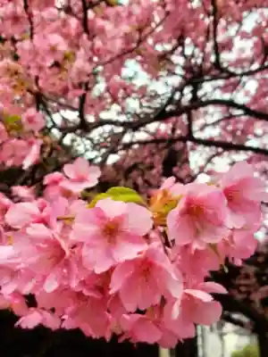 新宿下落合氷川神社(東京都)