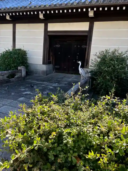 東本願寺(真宗本廟)(京都府)
