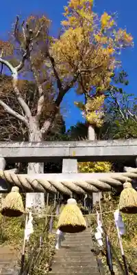 八雲神社（鎌倉・常盤）(神奈川県)