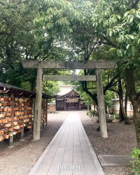田縣神社(愛知県)