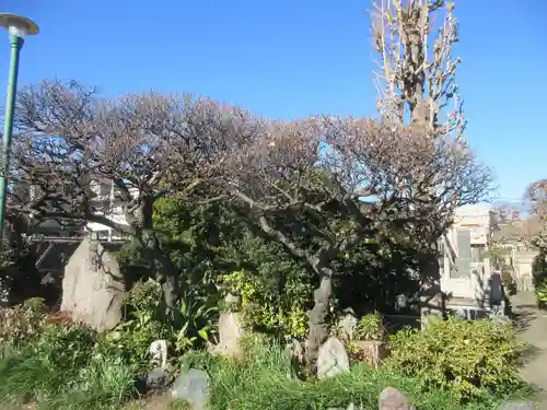本願寺(東京都)