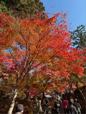 永源寺(滋賀県)