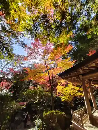 三瀧寺(広島県)