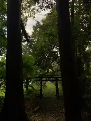 天満宮の鳥居