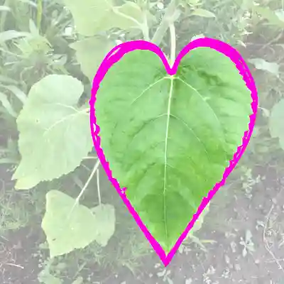 高司神社〜むすびの神の鎮まる社〜(福島県)