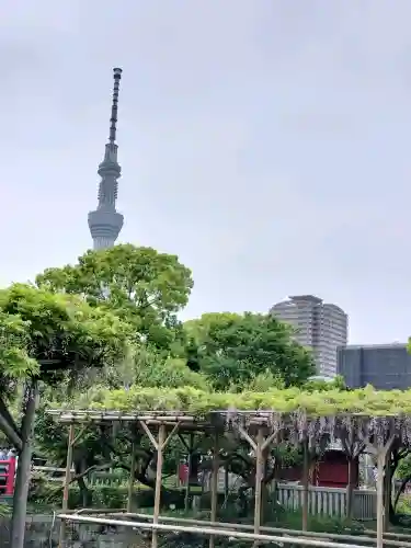 亀戸天神社の{uncategorized: "未分類", other: "その他", undefined: "問題あり", building: "その他建物", grave: "お墓", sacred_gate: "鳥居", guardian: "狛犬", statue: "像", buddha: "仏像", history: "歴史", nature: "自然", garden: "庭園", animal: "動物", pagoda: "塔", temizu: "手水舎", mountain_gate: "山門・神門", sanctuary: "本殿・本堂", subordinate: "末社・摂社", art: "芸術", scenery: "景色", jizo: "地蔵", ema: "絵馬", goshuin: "御朱印", omikuji: "おみくじ", items: "授与品その他", amulet: "お守り", goshuincho: "御朱印帳", eats: "食事", festival: "お祭り", votive_dance: "神楽", shichigosan: "七五三参", wedding: "結婚式", experience: "体験その他", initially: "初詣", around: "周辺", anti_infection: "感染症対策"}