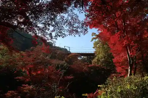 神應寺(京都府)