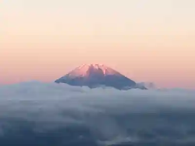 日蓮宗 総本山 塔頭 定林坊(じょうりんぼう)(山梨県)