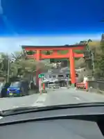 箱根神社の鳥居
